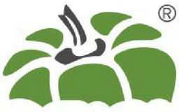 Capsicum Mediaworks